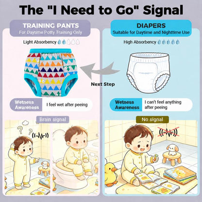 Toddler Potty Training Underwear
