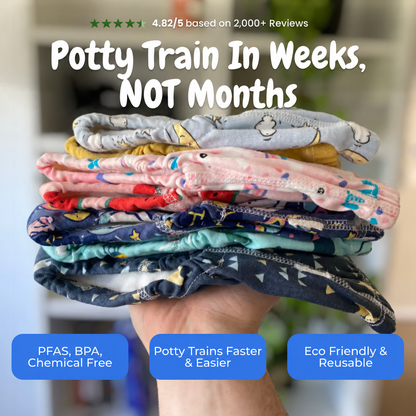 Toddler Potty Training Underwear